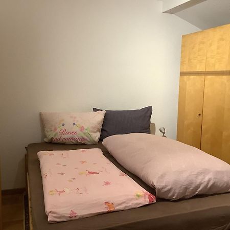 Ferienwohnung Apartment Doppelzimmer In Der Villa Naturpark Rheinblick, Ruhig, Aussicht, Pool Koblenz  Kültér fotó