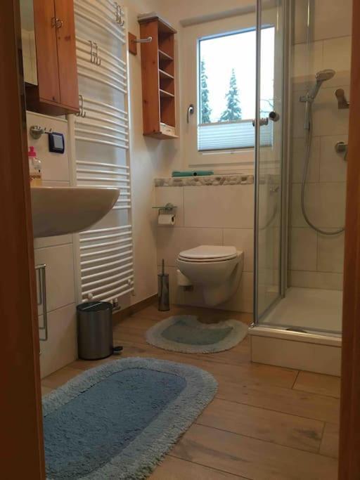 Ferienwohnung Apartment Doppelzimmer In Der Villa Naturpark Rheinblick, Ruhig, Aussicht, Pool Koblenz  Kültér fotó