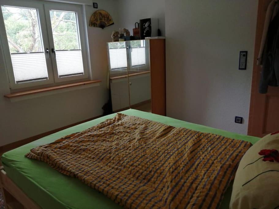 Ferienwohnung Apartment Doppelzimmer In Der Villa Naturpark Rheinblick, Ruhig, Aussicht, Pool Koblenz  Kültér fotó